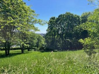 Wohnen am "Burgberg" Grundstück kaufen 65812 Bad Soden am Taunus Bild mittel