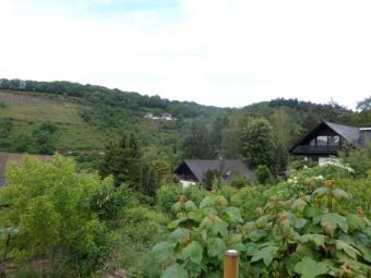 Wohnen am Tor zur Mittelmosel mit Blick in die Natur Grundstück kaufen 56859 Bullay Bild mittel