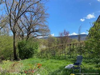 Wohnen im Grünen – Einfamilienhaus mit Aussicht Wald und Bachidylle direkt am Grundstück Haus kaufen 72116 Mössingen Bild mittel