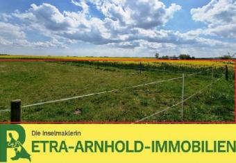 --Wow- selten groß und dann noch Ortsrandlage--- Grundstück kaufen 17440 Sauzin Bild mittel