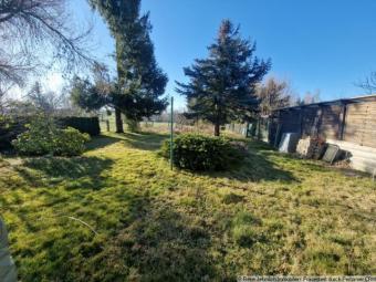 Wunderschönes Einfamilienhaus mit tollen Grundstück bei Geringswalde Haus kaufen 09326 Geringswalde Bild mittel