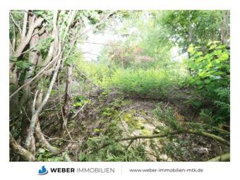 ZENTRAL & RUHIG, bis zu 280 qm möglich als 1-2 FH, GENEHMIGTE Bauvoranfrage Grundstück kaufen 61479 Glashütten Bild mittel