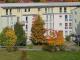 (12536_98) MGN: kleine 2-Zimmer-Wohnung mit Laminatböden zum ruhigen Innenhof, EBK und Hausmeisterdienste inkl. Wohnung mieten 98617 Meiningen Bild thumb