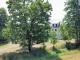 1336 - Ruhe pur: Haus in Alleinlage Haus kaufen 95185 Gattendorf Bild thumb