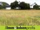 1698 - Schönes Baugrundstück am Fuße des Waldsteins Grundstück kaufen 95234 Sparneck Bild thumb