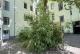2-Zimmer-Wohnung mit Balkon im Herzen von Berlin-Charlottenburg Wohnung kaufen 10627 Berlin Bild thumb