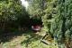 3 Familienhaus in toller Lage mit ebenerdigen Garten Haus kaufen 37445 Walkenried Bild thumb