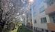 Attraktive 3 Zimmerwohnung als Anlage oder zur Eigennutzung! Ideal als WG geeignet. Zentrale Lage. Wohnung kaufen 70374 Stuttgart Bild thumb