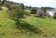 Ausblick in die Eifel-Wälder: Baugrundstück in Wimbach bei Adenau Grundstück kaufen 53518 Wimbach Bild thumb