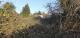 Baugrundstück, 2600m², 2 Doppelhäuser möglich !!! HL- Siems Grundstück kaufen 23569 Lübeck Bild thumb