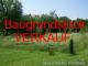 Baugrundstück für MFH/Wohn-/Geschäftshaus in Reichenbach im Vogtland Grundstück kaufen 08499 Mylau Bild thumb