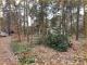 Bauland in Beelitzer Gemeinde mit vielen Möglichkeiten Grundstück kaufen 14547 Beelitz (Landkreis Potsdam-Mittelmark) Bild thumb