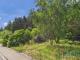 Bauland mit eigenem Wald – ein Grundstück mit besonderem Charakter Grundstück kaufen 53894 Mechernich Bild thumb