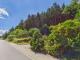 Bauland mit eigenem Wald – ein Grundstück mit besonderem Charakter Grundstück kaufen 53894 Mechernich Bild thumb