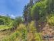 Bauland mit eigenem Wald – ein Grundstück mit besonderem Charakter Grundstück kaufen 53894 Mechernich Bild thumb
