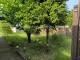 Berlin-Altglienicke
Bungalow - Einfamilienhaus mit schönem großem Garten und viel Nebengelass Haus kaufen 12524 Berlin Bild thumb
