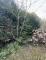 Beste Wohnlage - ruhig mitten im Wald und doch Großstadtnah - hier kann man sich ein Heim bauen! Grundstück kaufen 67661 Kaiserslautern Bild thumb