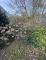 Beste Wohnlage - ruhig mitten im Wald und doch Großstadtnah - hier kann man sich ein Heim bauen! Grundstück kaufen 67661 Kaiserslautern Bild thumb