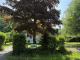 Bungalow in der Schwerzfelder Straße in Roetgen Haus kaufen 52159 Roetgen Bild thumb
