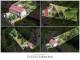 Charmantes Zuhause mit Geschichte und viel Platz für die ganze Familie Haus kaufen 98528 Suhl Bild thumb