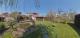 DHH mit 2 WHG, Keller mit TG, Bungalow, Teich, 2 Garagen & Gartenoase in Toplage von Reutershagen Haus kaufen 18069 Rostock Bild thumb
