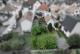 DIETZ: 2 FH mit Garten und Hofbereich in beliebter Lage von Eppertshausen! Haus kaufen 64859 Eppertshausen Bild thumb