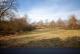 DIETZ: REDUZIERT! Bungalow mit 4 Zimmern in TOP-Randlage von Dieburg mit Garage / Car-Port u. Keller Haus kaufen 64807 Dieburg Bild thumb