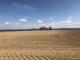 Diverse landwirtschaftliche Grundstücke zu verkaufen - Liste auf Anfrage Grundstück kaufen 63654 Büdingen Bild thumb