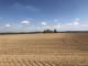 Diverse landwirtschaftliche Grundstücke zu verkaufen - Liste auf Anfrage Grundstück kaufen 63654 Büdingen Bild thumb