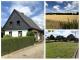 DREI AUF EINEN STREICH! Einfamilienhaus + Ackerland + Bauland in Goch-Nierswalde Haus kaufen 47574 Goch Bild thumb