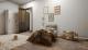 $ecret $ale '25 - №1 Haus kaufen 67808 Ransweiler Bild thumb