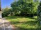 Einfamilienhaus in Ingolstadt-Pettenhofen - großes Grundstück, Garten, Garage & Entwicklungspotenzial! Haus kaufen 85049 Ingolstadt Bild thumb