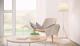 Einfamilienhaus mit modernem Designanspruch! Haus kaufen 55469 Klosterkumbd Bild thumb