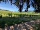 exzelentes Baugrundstück (erschlossen, aber noch nicht Endabgerechnet) in Traben mit Fernsicht über die Mosel und Weinberge Grundstück kaufen 56841 Traben-Trarbach Bild thumb