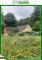 *** Fast Alleinlage am Wald - EFH *** Haus kaufen 14827 Wiesenburg/Mark Bild thumb