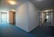 Fast-Penthouse in 1A-Rheinlage – zwei Terrassen, Weitblick & Privatsphäre Wohnung kaufen 53639 Königswinter Bild thumb