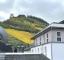 Ferien-Wohnhaus oder Familien-Wohnhaus in Traben-Trarbach/Mosel vollständig Möbeliert Haus kaufen 56841 Traben-Trarbach Bild thumb