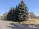 Freifläche am Waldrand in Stackelitz Grundstück kaufen 06868 Coswig Bild thumb