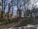 Freifläche am Waldrand in Stackelitz Grundstück kaufen 06868 Coswig Bild thumb