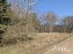 Freifläche am Waldrand in Stackelitz Grundstück kaufen 06868 Coswig Bild thumb