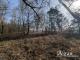 Freifläche am Waldrand in Stackelitz Grundstück kaufen 06868 Coswig Bild thumb