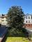 Gepflegtes Einfamilienhaus mit Ausbaupotenzial in ruhiger Lage.. Haus kaufen 65817 Eppstein Bild thumb