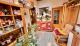 Göllheim - einfaches Reihenmittelhaus zu verkaufen. Gerne mit Mieter! Haus kaufen 67307 Göllheim Bild thumb