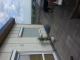 große und sonnige Dachterrassenwohnung,2Raum inkl.Stellplatz 500€ warm Wohnung mieten 06184 Kabelsketal Bild thumb