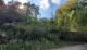 Großes Grundstück in Traumlage am Wald! Grundstück kaufen 21224 Rosengarten Bild thumb