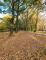 Großzügiger Laden mit Backoffice, Terrasse und Küche in frequentierter Lage Gewerbe mieten 09113 Chemnitz Bild thumb
