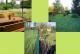 Grundstück in Dabendorf mit Blick auf Feld und Naturschutzgebiet Grundstück kaufen 15806 Christinendorf Bild thumb