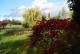 Grundstück in Dabendorf mit Blick auf Feld und Naturschutzgebiet Grundstück kaufen 15806 Christinendorf Bild thumb