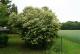 Grundstück in Dabendorf mit Blick auf Feld und Naturschutzgebiet Grundstück kaufen 15806 Christinendorf Bild thumb