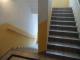 Helle 1-Raumwohnung mit Tageslichtbad in der Bahnhofsvorstadt! Wohnung mieten 08056 Zwickau Bild thumb